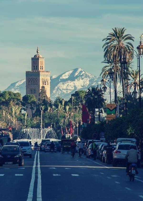 Authentic Moroccan Charm Apartment In Marrakech Terrace Marrakesh Exterior photo