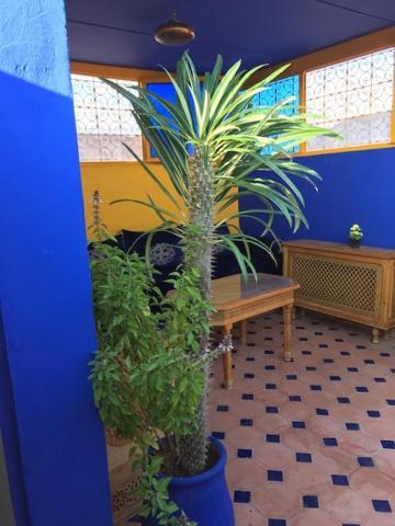 Authentic Moroccan Charm Apartment In Marrakech Terrace Marrakesh Exterior photo