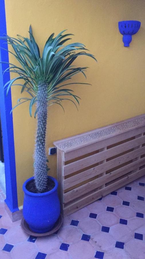 Authentic Moroccan Charm Apartment In Marrakech Terrace Marrakesh Exterior photo
